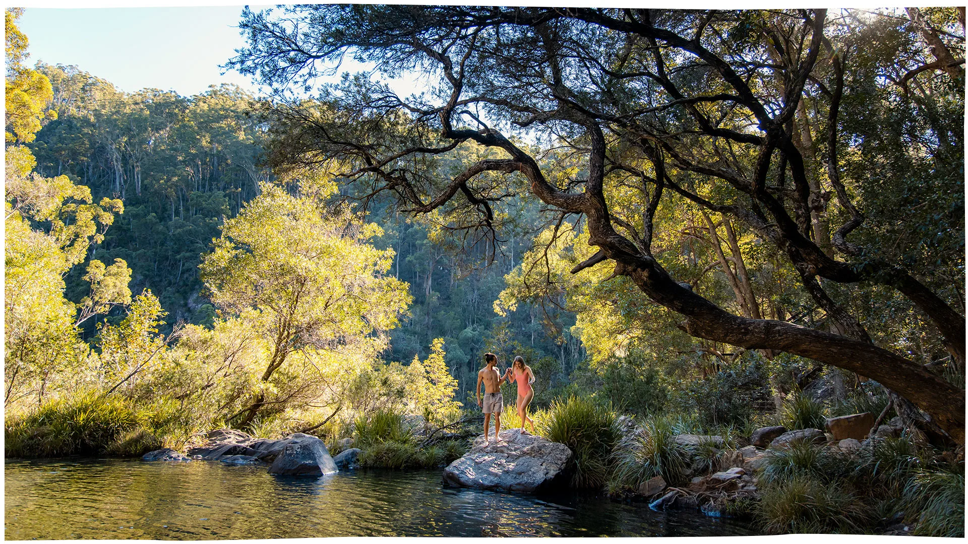 Forest Bathing will change the way you connect with nature 