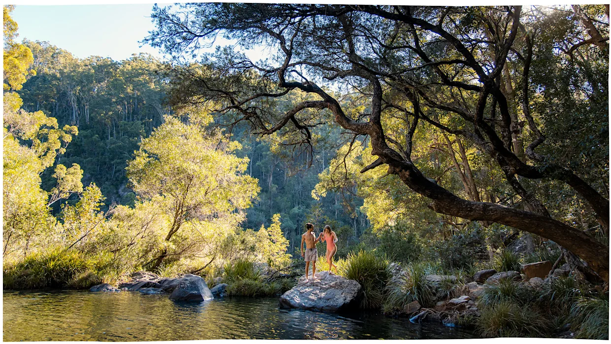 20 bucket list experiences on the Sunshine Coast