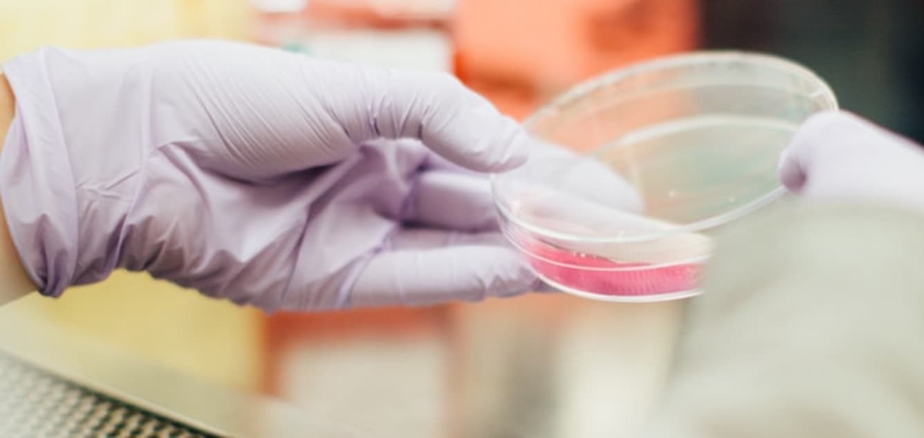 L’ingrédient Bifidobacterium longum 35624™ peut-il contribuer à favoriser la santé gastro-intestinale?