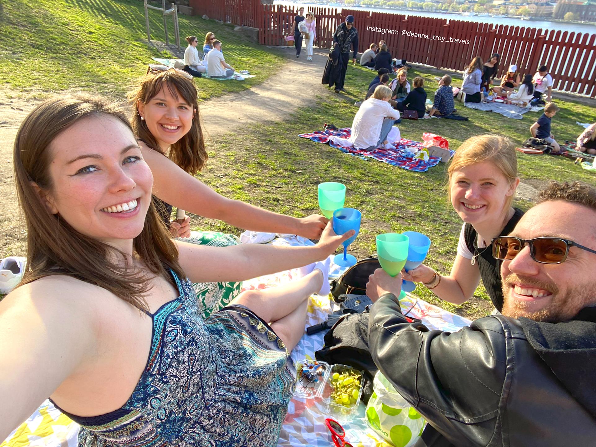 Picnic at Mariaberget Lookout