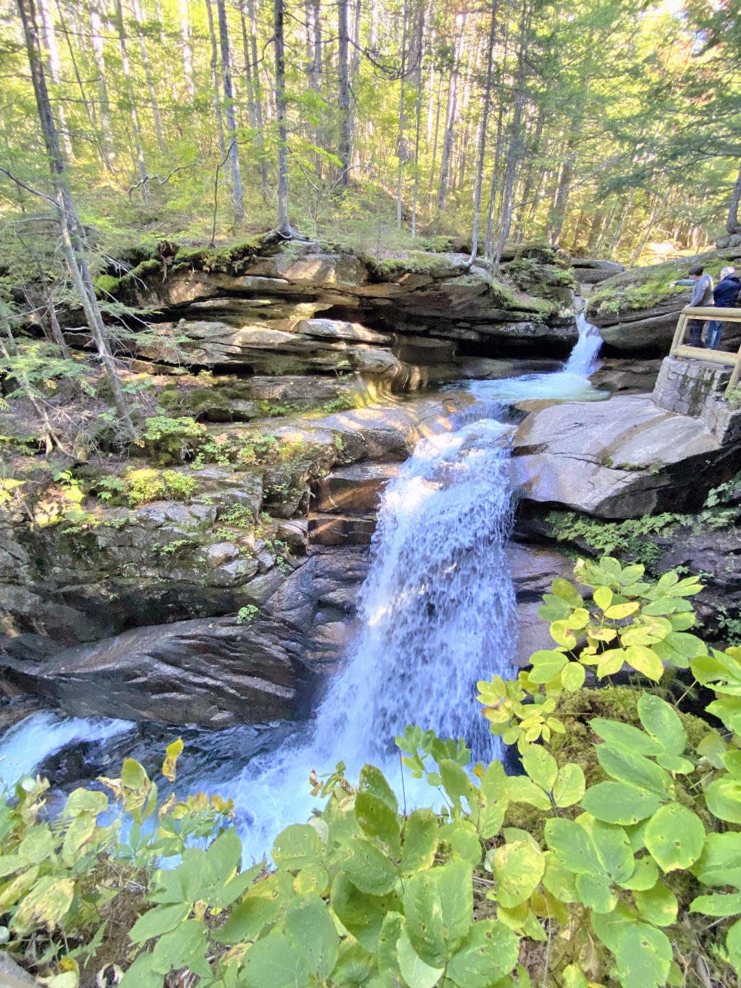 Sabbaday Falls is a beautiful waterfall on the Kancamagus Highway