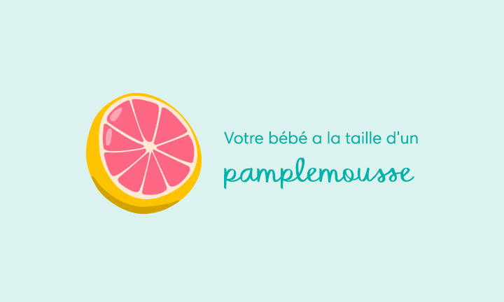 15 Semaines De Grossesse A Quoi S Attendre