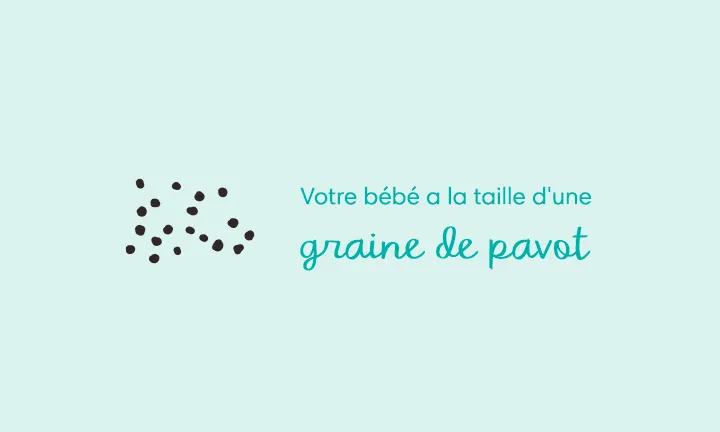 Attendre un bébé : tout savoir sur la grossesse