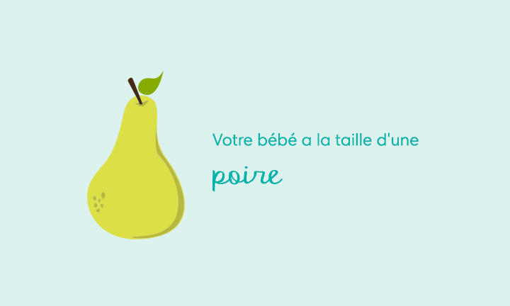 17 Semaines De Grossesse A Quoi S Attendre