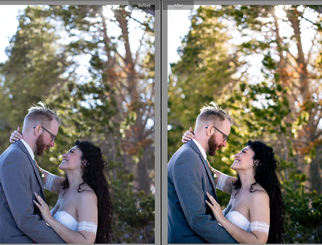 Wedding-focused A Life Ahead presets for Lightroom