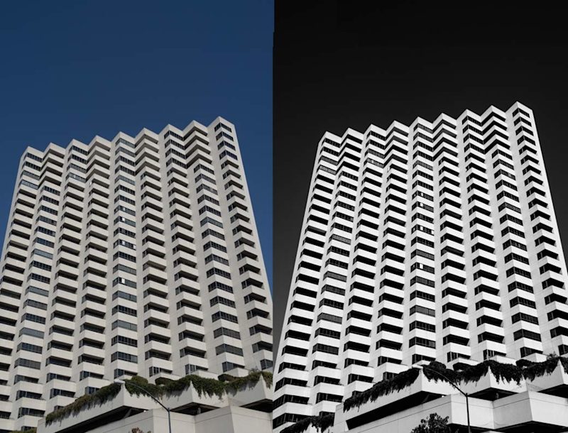 High contrast black and white free Lightroom preset