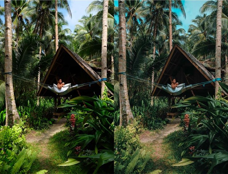 Jungle Tone enhancing landscapes with free presets for Lightroom