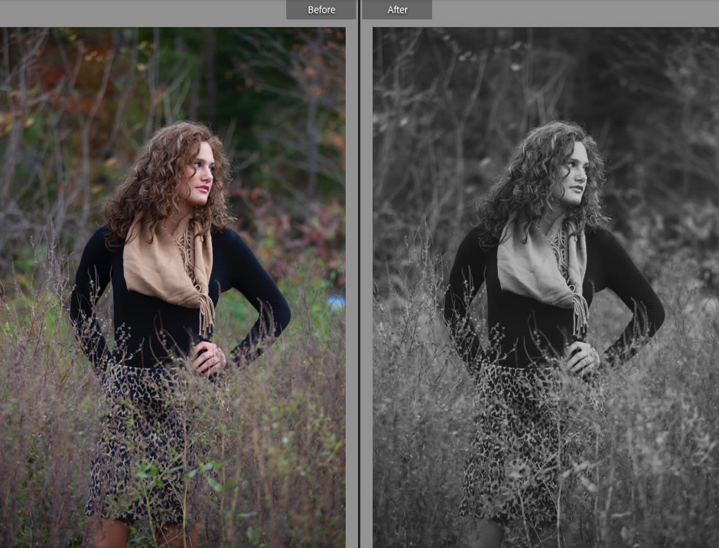 Shadowze bringing out striking black and white contrast with free Lightroom presets