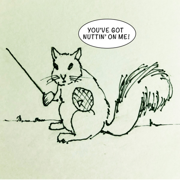 10 Comparisons Between Writing A Novel and Fencing With Squirrels Cover Photo