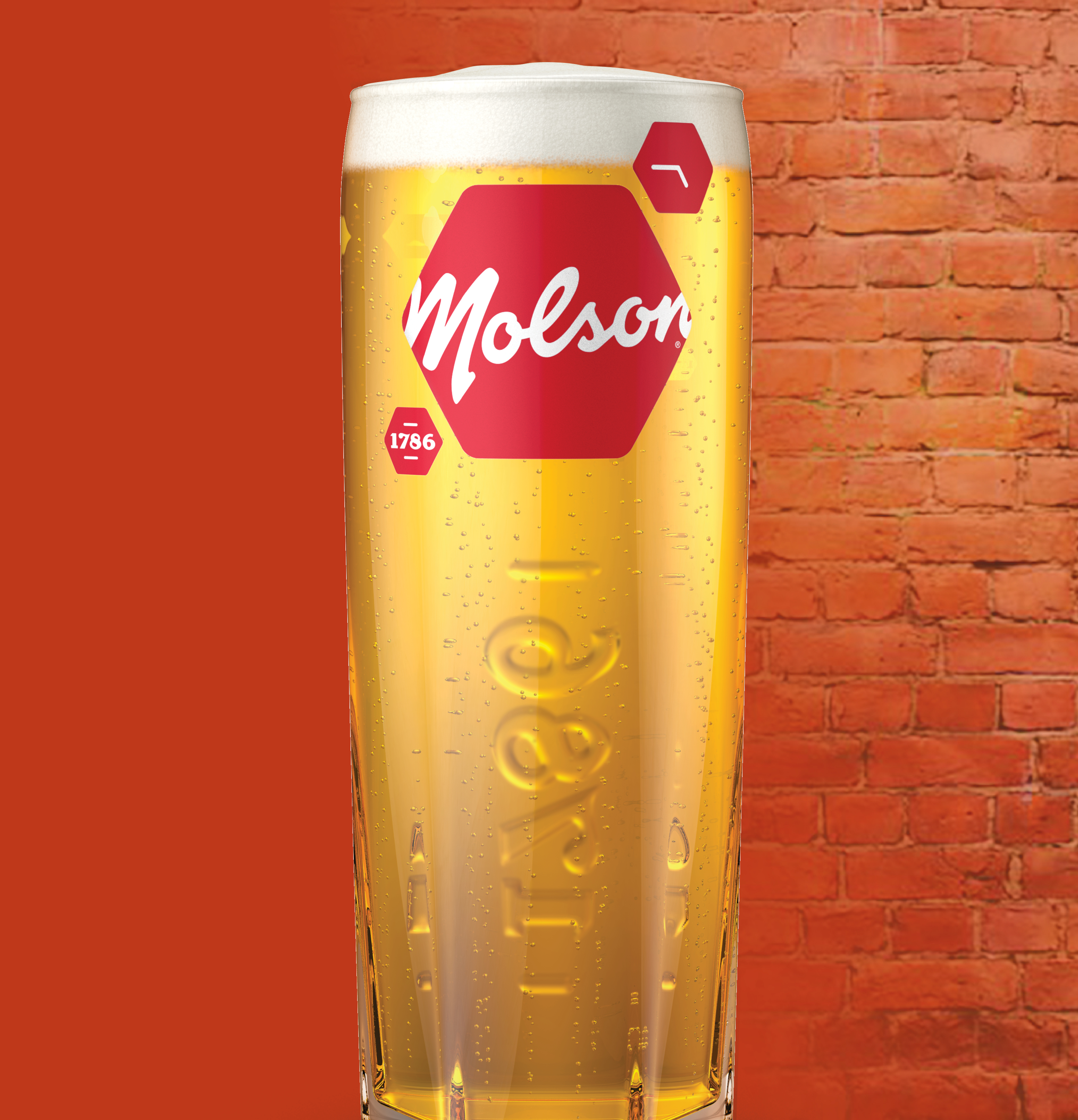Image of a pint of Molson Canadian Beer 