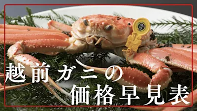 越前ガニの値段 完全ガイド【2025年】越前ガニ値段の早見表!相場やグレード、店舗と通販での違いまで