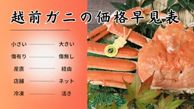 越前ガニの値段 完全ガイド【2025年】越前ガニ値段の早見表！相場やグレード、店舗と通販での違いまで