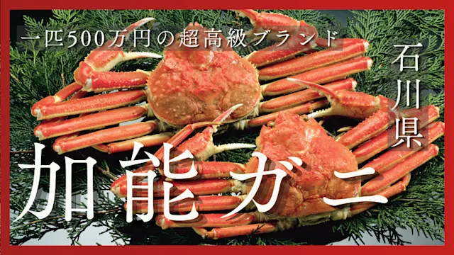 加能ガニとは
