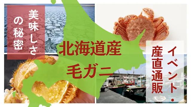 北海道産毛ガニ