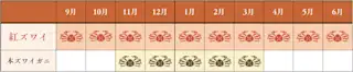 紅ズワイガニの旬