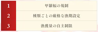 越前ガニ漁の規制が厳しい理由