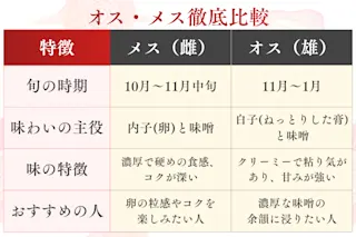 上海蟹オス・メス比較表