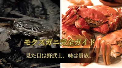 モクズガニ完全ガイド！日本に生息する上海蟹の類似種