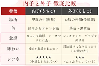 内子と外子 徹底比較