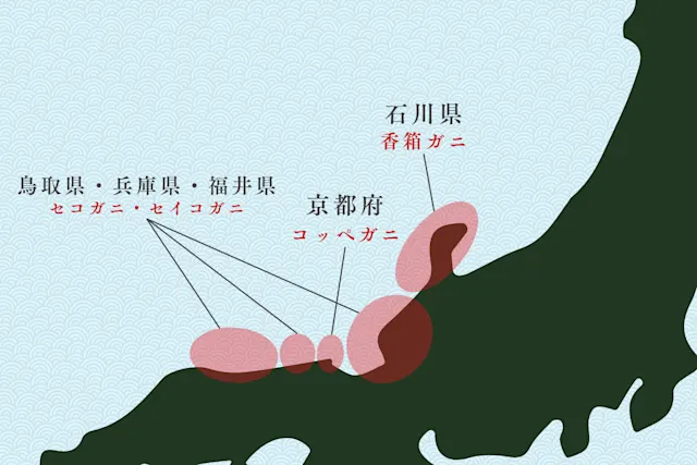 セイコガニの産地別名称