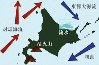 北海道の豊かな自然環境