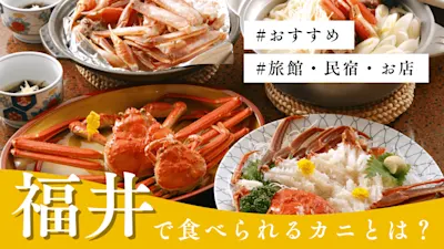 福井で食べられる美味しいカニは?おすすめの旅館・民宿やお店を紹介