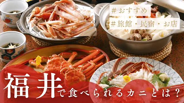 福井で食べられるかにとは