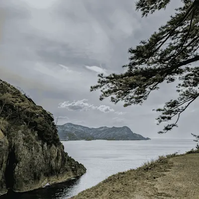 香住漁港の極上カニを食べるなら！美味しいお店と通販・旬やイベント情報