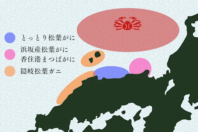 松葉ガニの地域別の呼び名