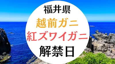 【2025年11月最新】福井のカニ解禁はいつから？越前がに・紅ズワイ・せいこがになど種類別に