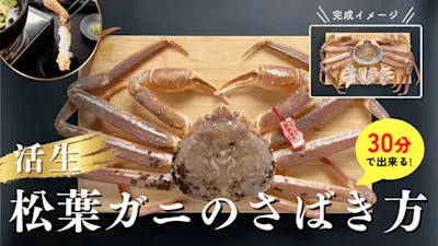 松葉ガニ(オスのズワイガニ)の捌き方