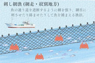 タラバガニ刺し網漁
