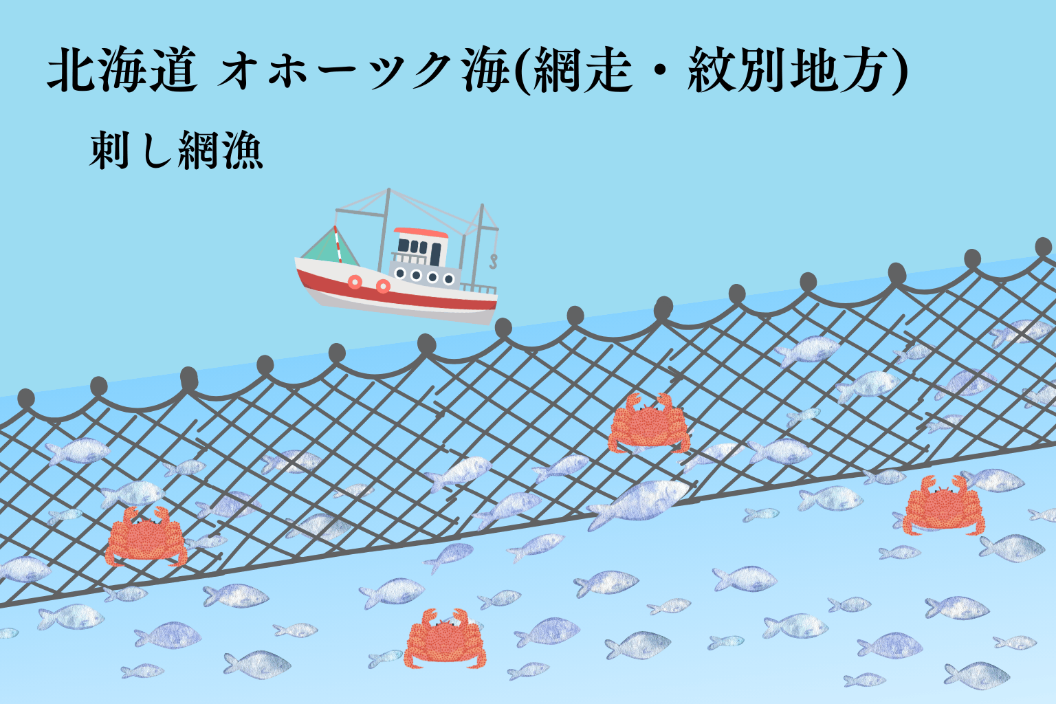 タラバガニ　刺し網漁