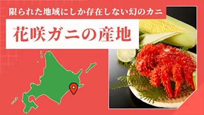 花咲ガニの産地は？限られたエリアにしか生息しない理由と地元おすすめの食べ方