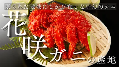 花咲ガニの産地は?限られたエリアにしか生息しない理由と地元おすすめの食べ方