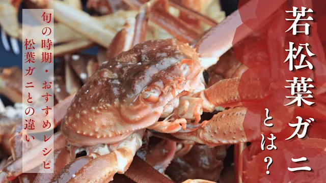若松葉ガニカバー画像