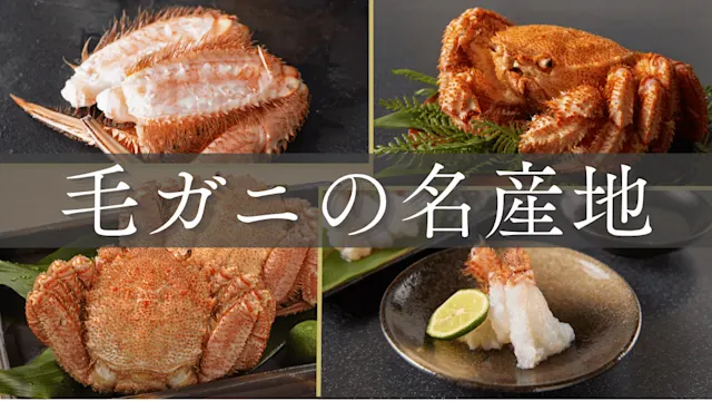 毛ガニ産地