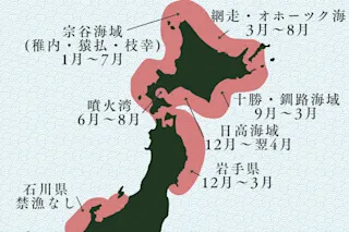 毛ガニのエリア別の漁期