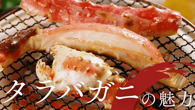 タラバガニの魅力完全ガイド バナー画像