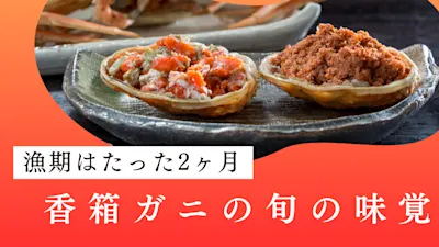香箱ガニの旬は12月!地域別の禁漁期や美味しい季節を紹介