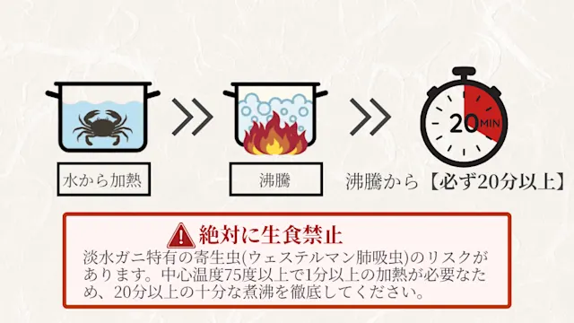 モクズガニ　煮沸