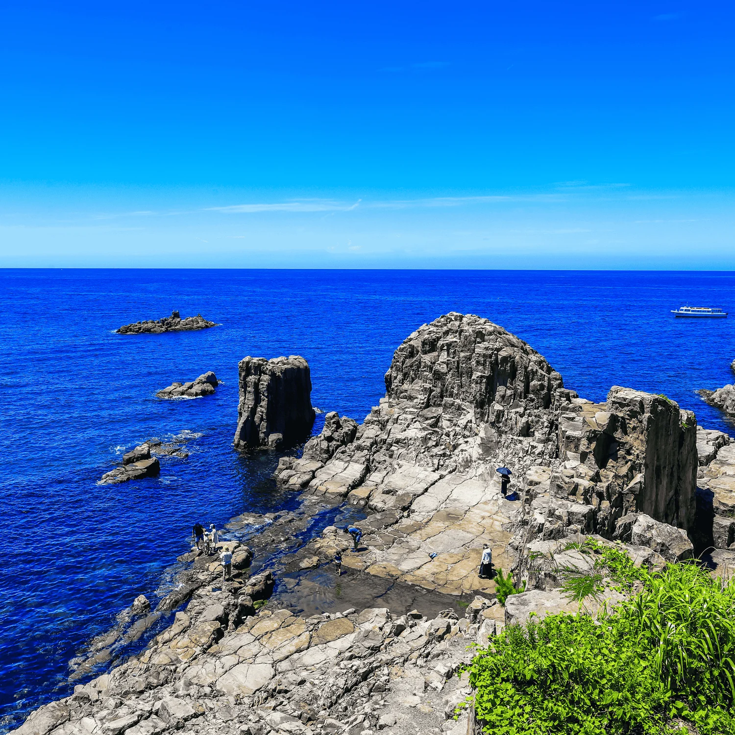 福井県のカニ情報 - 港から飲食店・イベント、おすすめのカニ種類まで