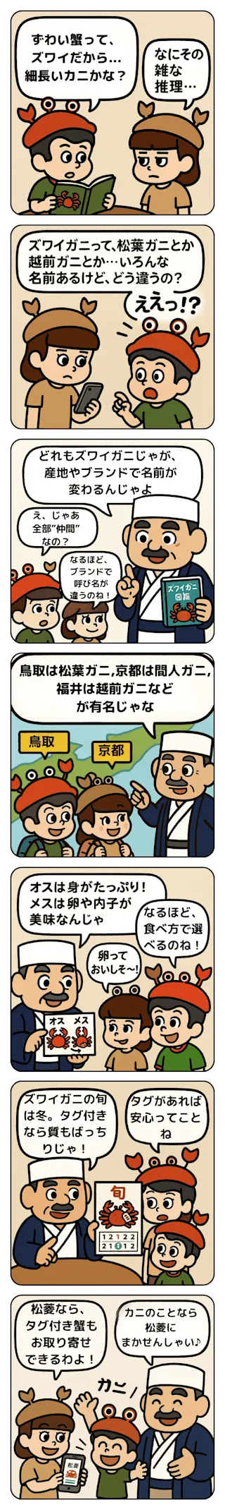 本ズワイガニの種類解説マンガ