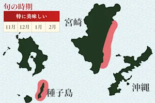アサヒガニ旬の時期、産地