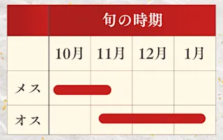 上海蟹旬の時期