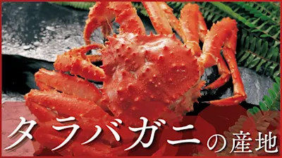 タラバガニの産地は?国内流通の9割が外国産って本当?日本国内と世界の名産地を紹介