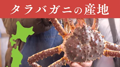 タラバガニの産地は？国内流通の9割が外国産って本当？日本国内と世界の名産地を紹介