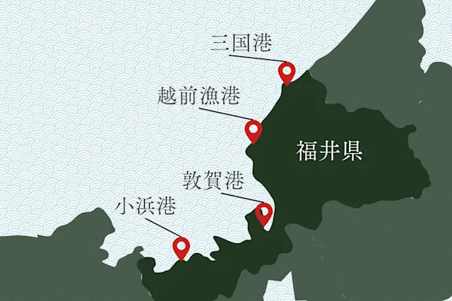 越前ガニの産地