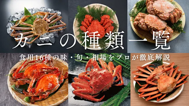 カニの種類一覧　バナー画像