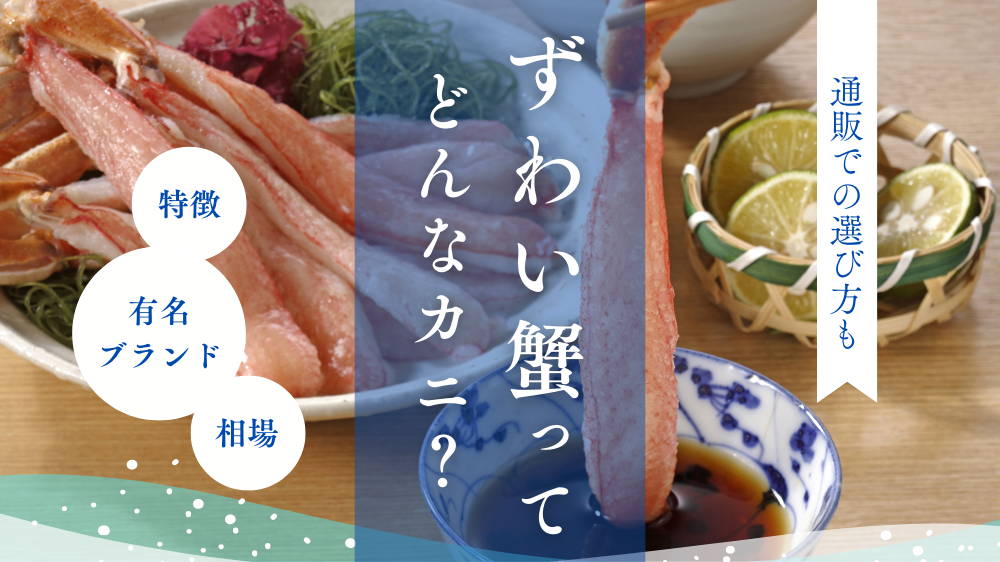 【解説動画あり】ズワイガニとは?有名ブランドや相場からおすすめレシピ、通販での選び方まで徹底解説
